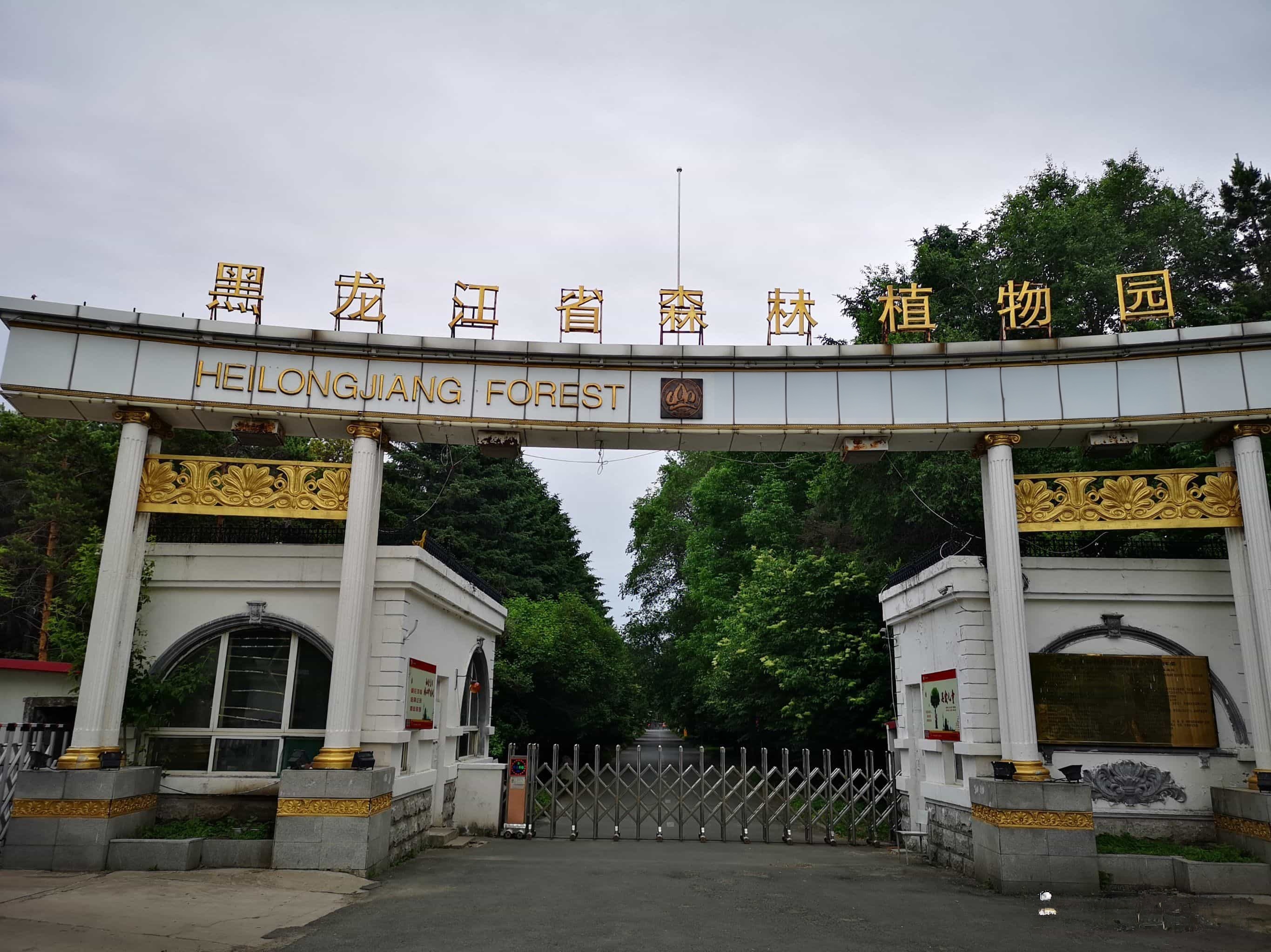 如果你想去 黑龙江省森林植物园 ,出发前不妨看看这份出行攻略 黑龙江