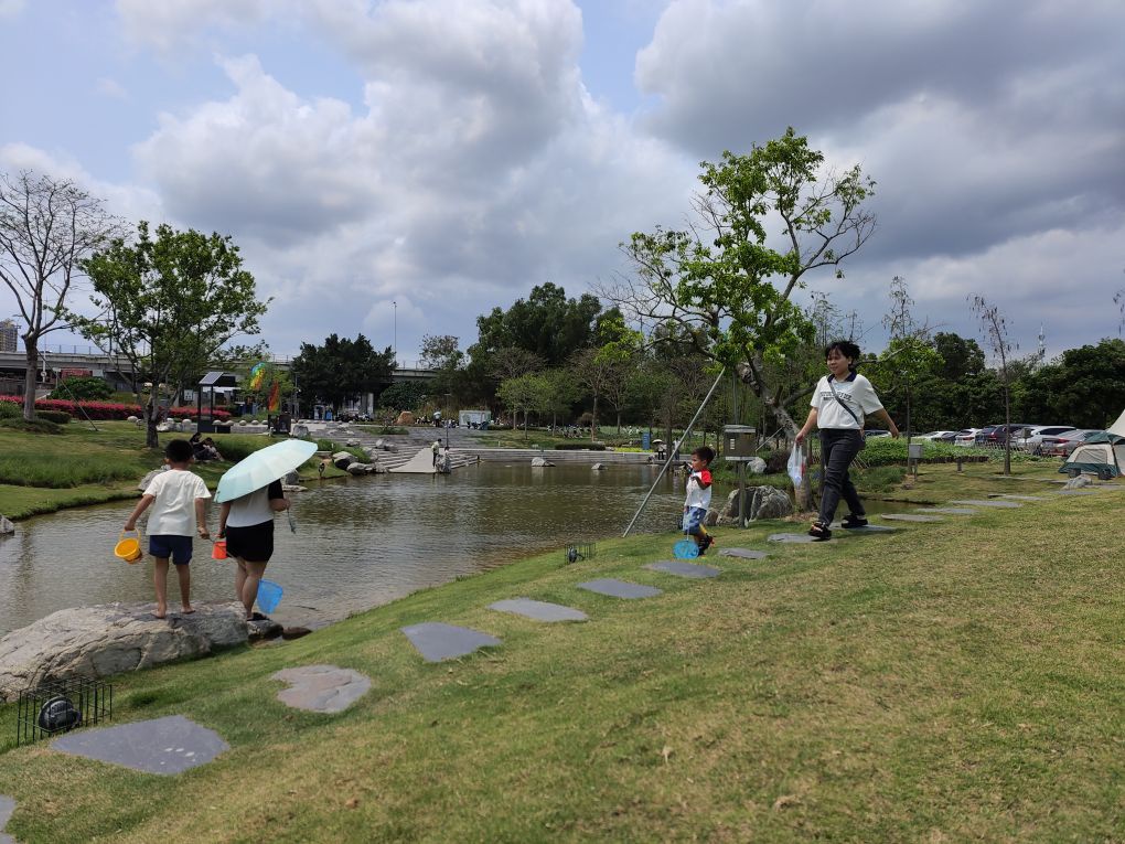 楼村湿地公园图片